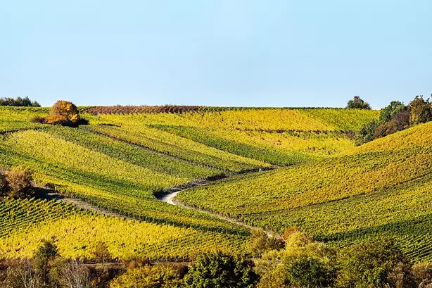 بلیط قطار تاکستان بلیط قطار تاکستان